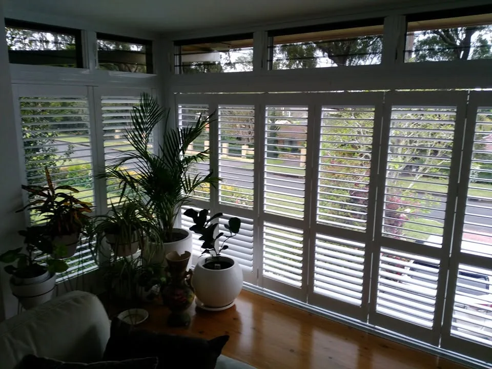 White plantation shutters filtering soft light into a Toowoomba sunroom